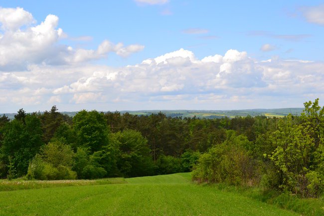 Kolonie Lipowiec