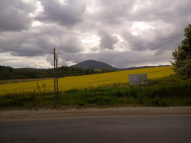 KRZESZÓW MAJOWE (2014)