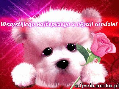 Wszystkiego Najlepszego W Dniu Urodzin Eva,