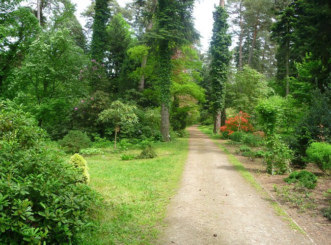 Arboretum w Rogowie - maj 2014