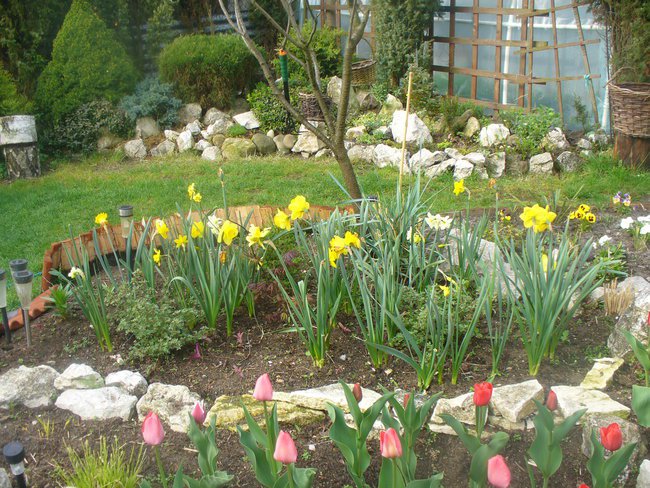 URODZINY  MOJEJ WNUCZKI  RÓZY