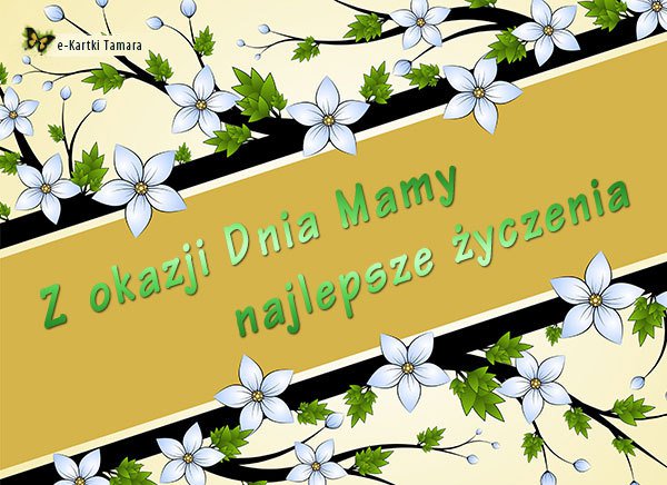 NIKT CIĘ NIE BĘDZIE TAK KOCHAĆ JAK JA