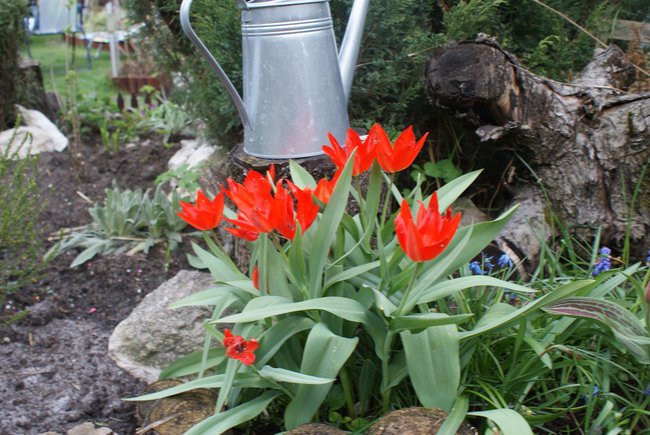 URODZINY  MOJEJ  WNUCKI  LU