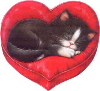 Kiedy Piękna Noc Zapada.