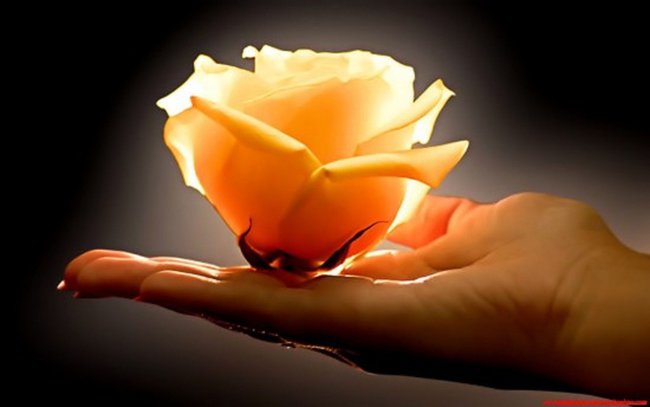 Mirami - Amour.... (miłostka)