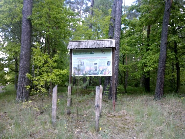 Wypad rowerem w lasy w okolicy Rejny