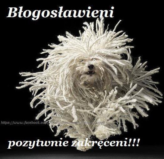 Pozytywnie zakręceni