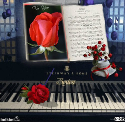 DLA  SYMPATYCZNEGO  WLODZIA  Z  NK