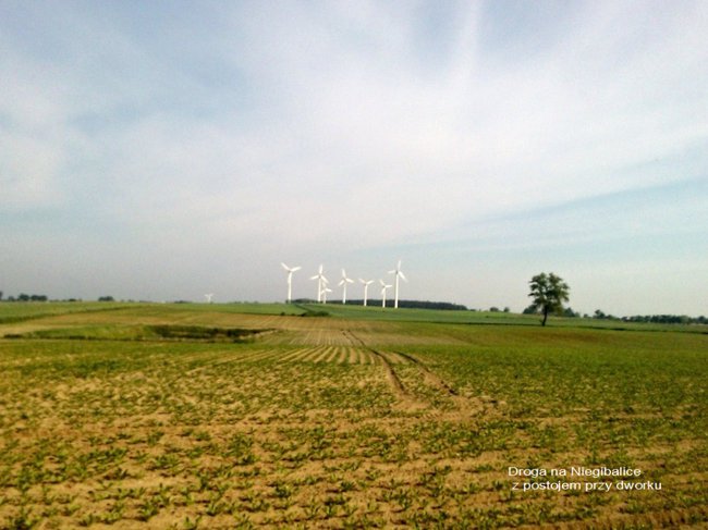 Postój przy dworku w Niegibalicach