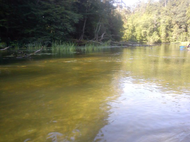Spływ Kajakami po rzece Krutynia