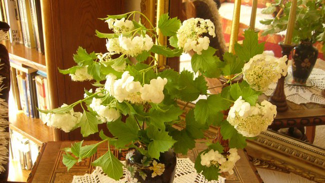 olsztynska wiosna z zyczeniami  imieninowymi dla Zuzi