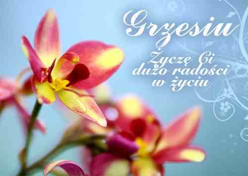 Wszystkiego Najlepszego!!! spełnienia marzeń :)