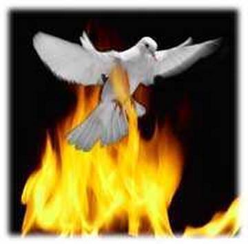 Skrzydlate ręce (Cover Enej)