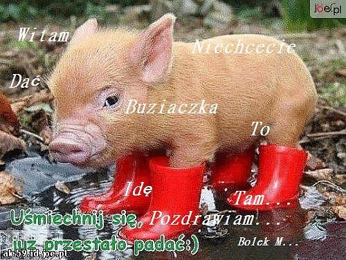 Na dobranoc moim drogim serduszkom