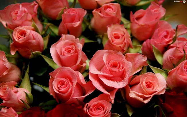 wszystkiego najlepszego!