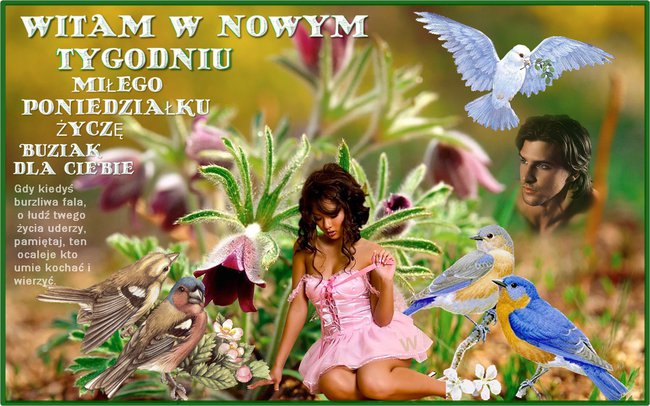 Milego tygodnia dla przyjaciół  zasyła danula