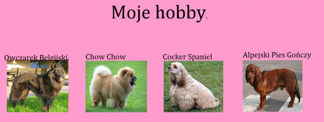 moje hobby