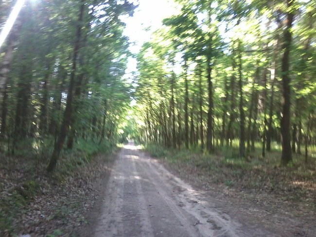 Prawdziwy przyjaciel