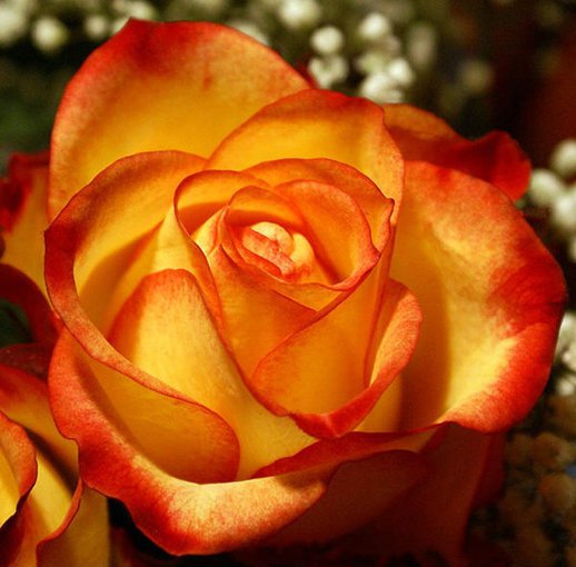 SPRUBUJMY JESCZE RAZ