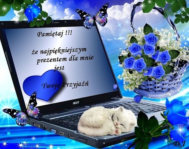 Wirtualna Przyjaźń