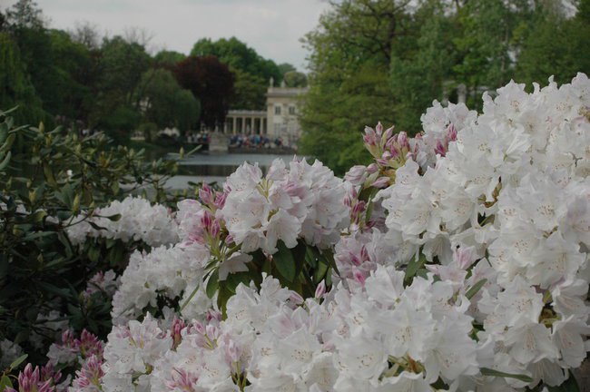 nasze piękne polskie klimaty
