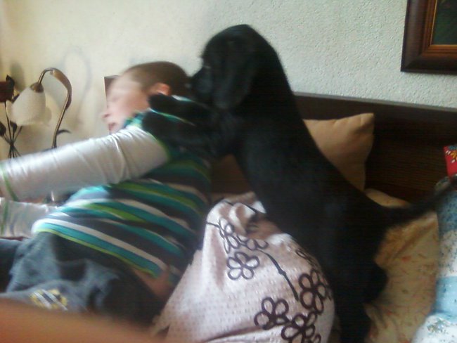 NIKO KOCHANY PRZYJACIEL CZLOWIEKA