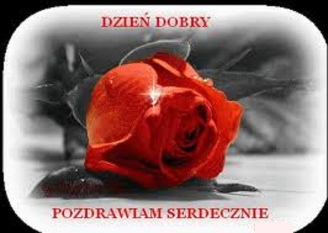 Witam...Pięknego dnia życzę....