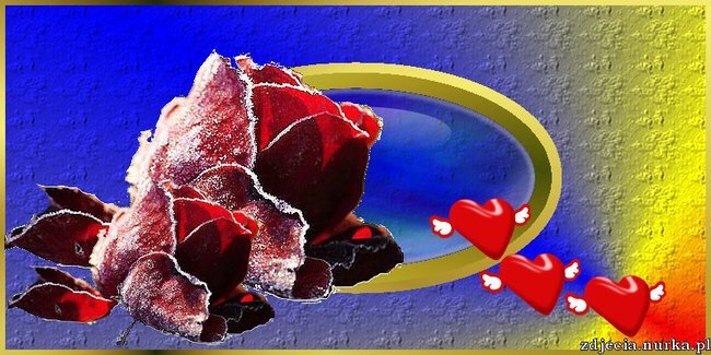 JAK MAM POWSTRZYMAĆ GORZKIE ŁZY.   DLA PRZYJACIÓL Z NK  .)))