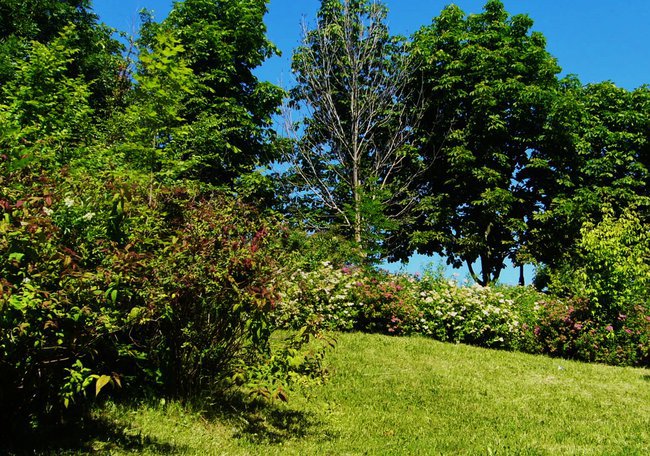 olsztyńskie klimaty