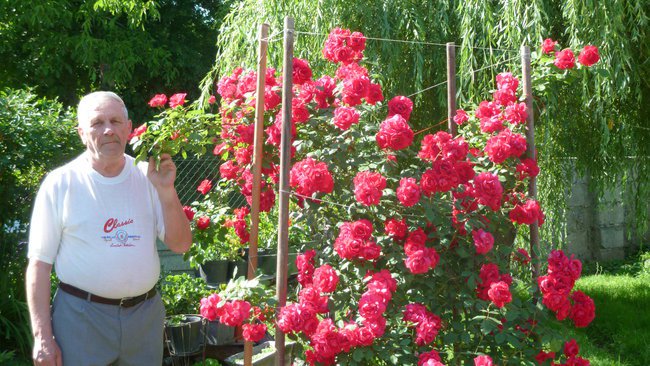 Witam serdecznie i życzę miłego oglądania .