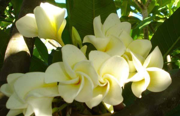 Dla Ciebie drogi przyjacielu