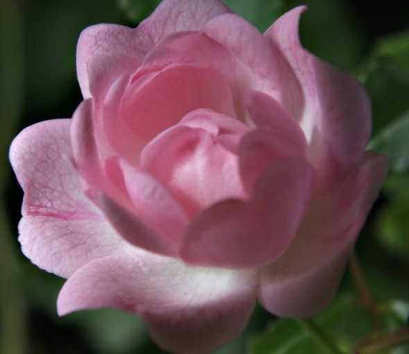 Serdecznie pozdrawiam