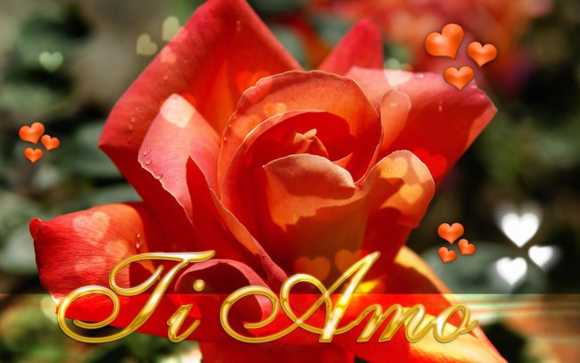 Sei mio unico amore ti amo