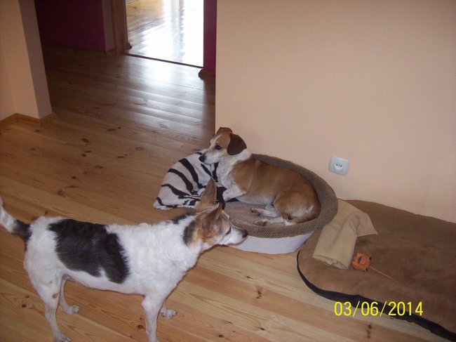 WARIACJE ...NA TEMAT ...