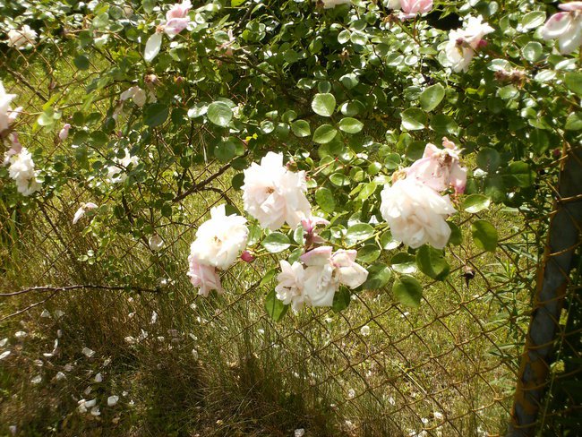 WSZYSTKIEGO NAJLEPSZEGO...!!!