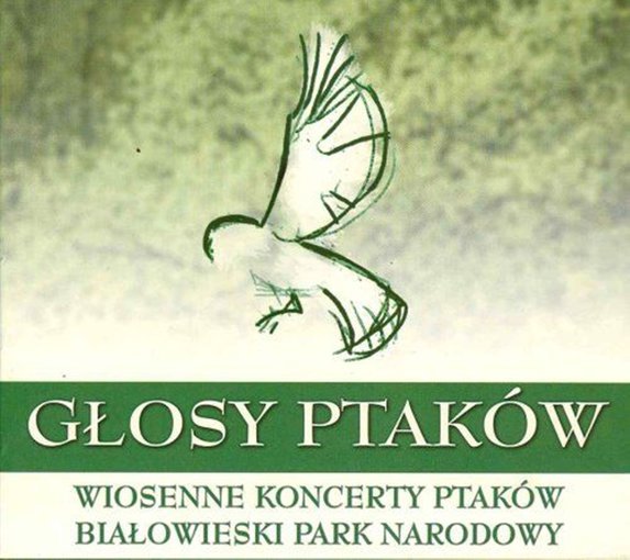 LETNIE ODGŁOSY PTAKÓW
