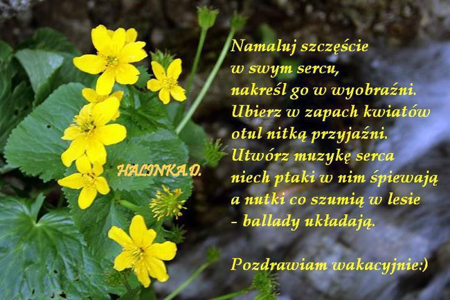 DLA MOICH PRZYJACIÓŁ