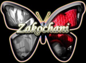 Dla Ciebie misiaczku żebyś wiedział jak bardzo Cie KOCHAM!!!!!