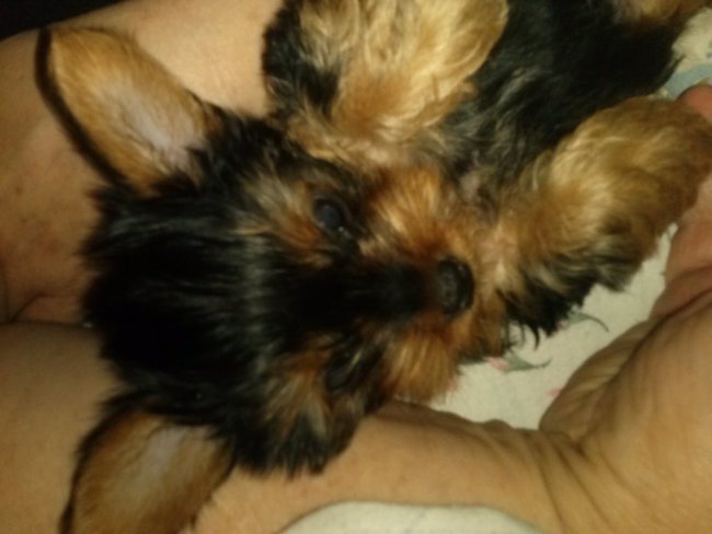 Wszystkiego Najlepszego Oliwciu