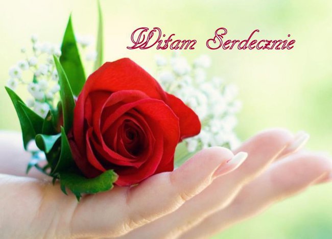 DLA MOICH PRZYJACIÓŁ