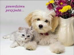 W dniu urodzin - Wszystkiego co piękne