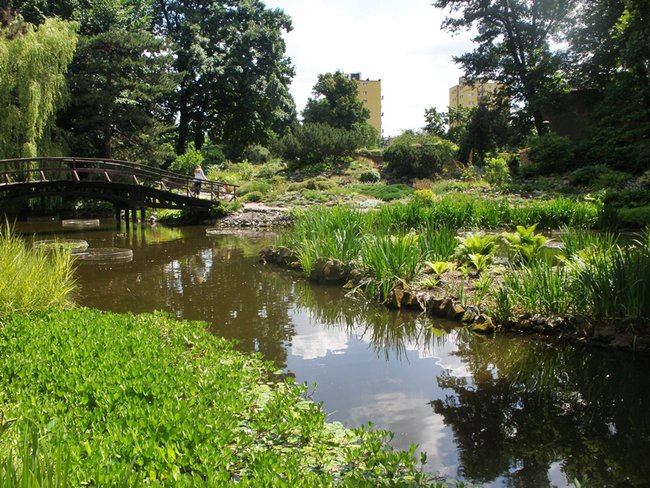 OGRÓD BOTANICZNY WE WROCŁAWIU.