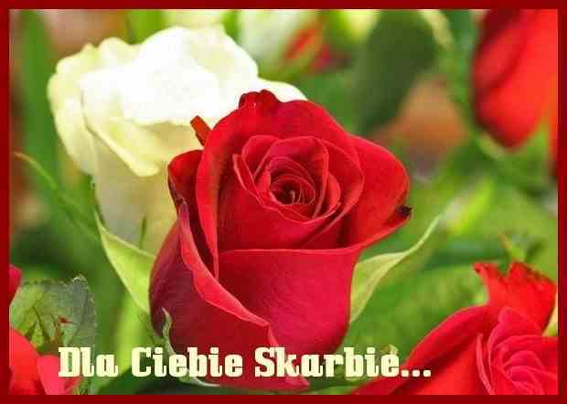 Krysiu ten slajdzik dedykuję Tobie w dniu Imienin.