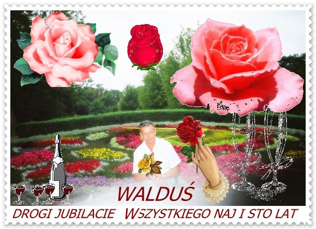 WITAM URODZINOWO WALDUŚ