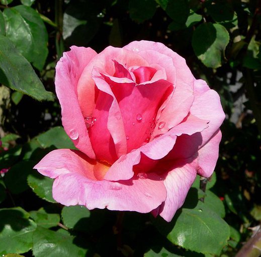 GDYBY MOZNA BYŁO COFNAC CZAS