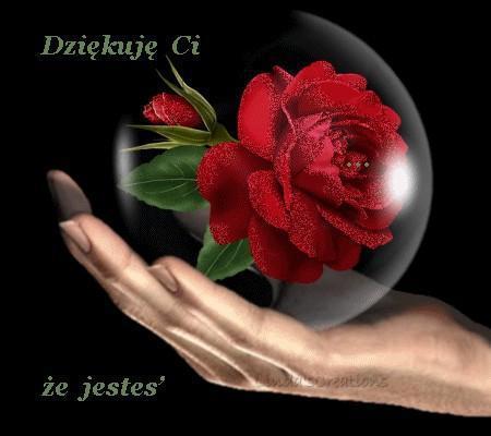 takie tam wspomnienia