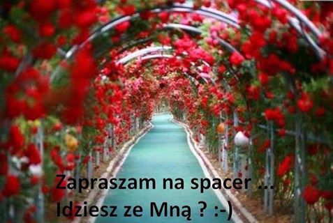 kochanie  milosc nasza nie zna granic