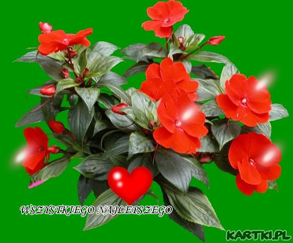 Wszystkiego najlepszego z Okazji Imienin Maryniu