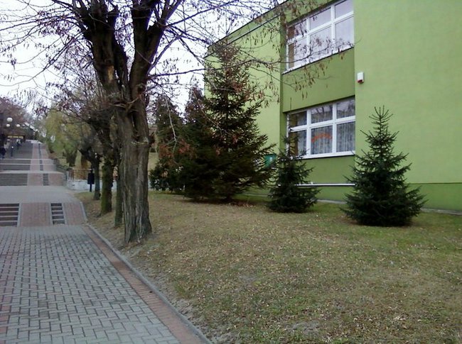 Wakacje w Bibliotece Radziejowa