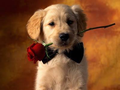 czakuś z przyjaciołkami martą i ania